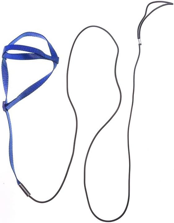 Adjustable Bird Harness and Leash,Anti-Escape Durable Nylon Parrot Harness, Flying Training Rope Parrot Leash for Small Medium Large Breed Parrots Fits Chest Under 20'', Blue M