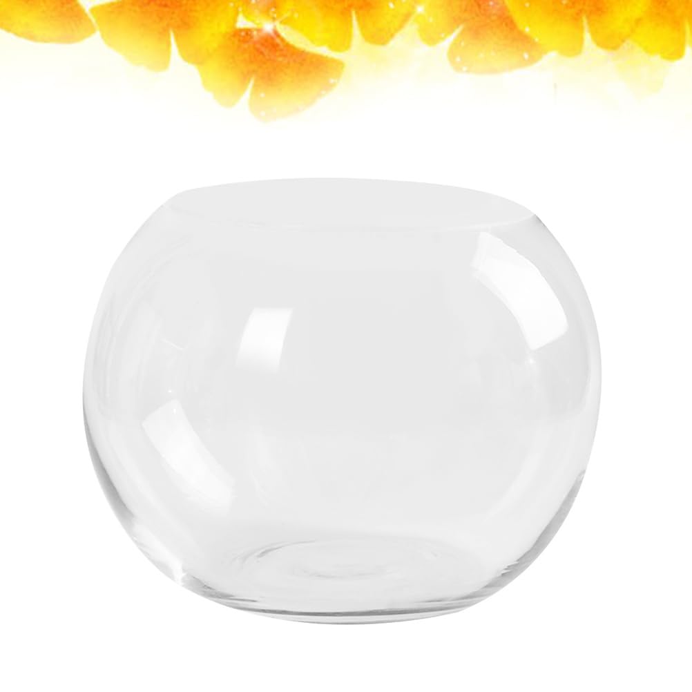 Luxshiny 2Pcs Clear Glass Vase Container 4 Inch Round Hydroponic Plant Holder Decorative Desktop Flower Pot for Home Office Hotel
