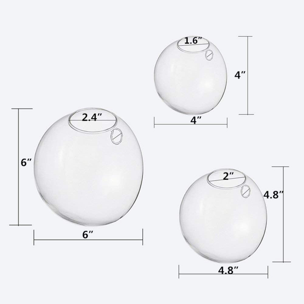 Ecosides Set of 3 Wall Hanging Planter Wall Hanging Bubble Glass Terrarium Wall Mount Vase for Indoor Planter Air Plant Glass Terrarium Flower Vase Wall Bowl(Oblique Opening)