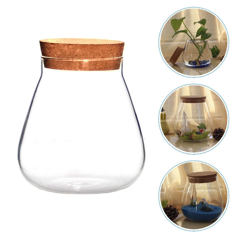 Ciieeo Creative Glass Bottle Ornament 4.52X3.93X3.93In Clear Terrarium Jar with Cork Lid for Mini Plant Display Diy Crafts Home D Cor Accent