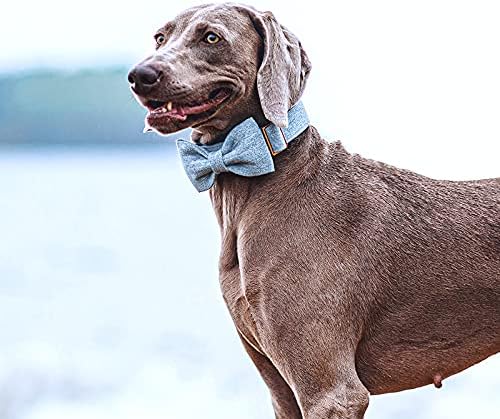 DOGWONG Hemp Cotton Dog Collar with Bow, Blue Pet Collar Durable Adjustable Puppy Collar for Medium Dogs