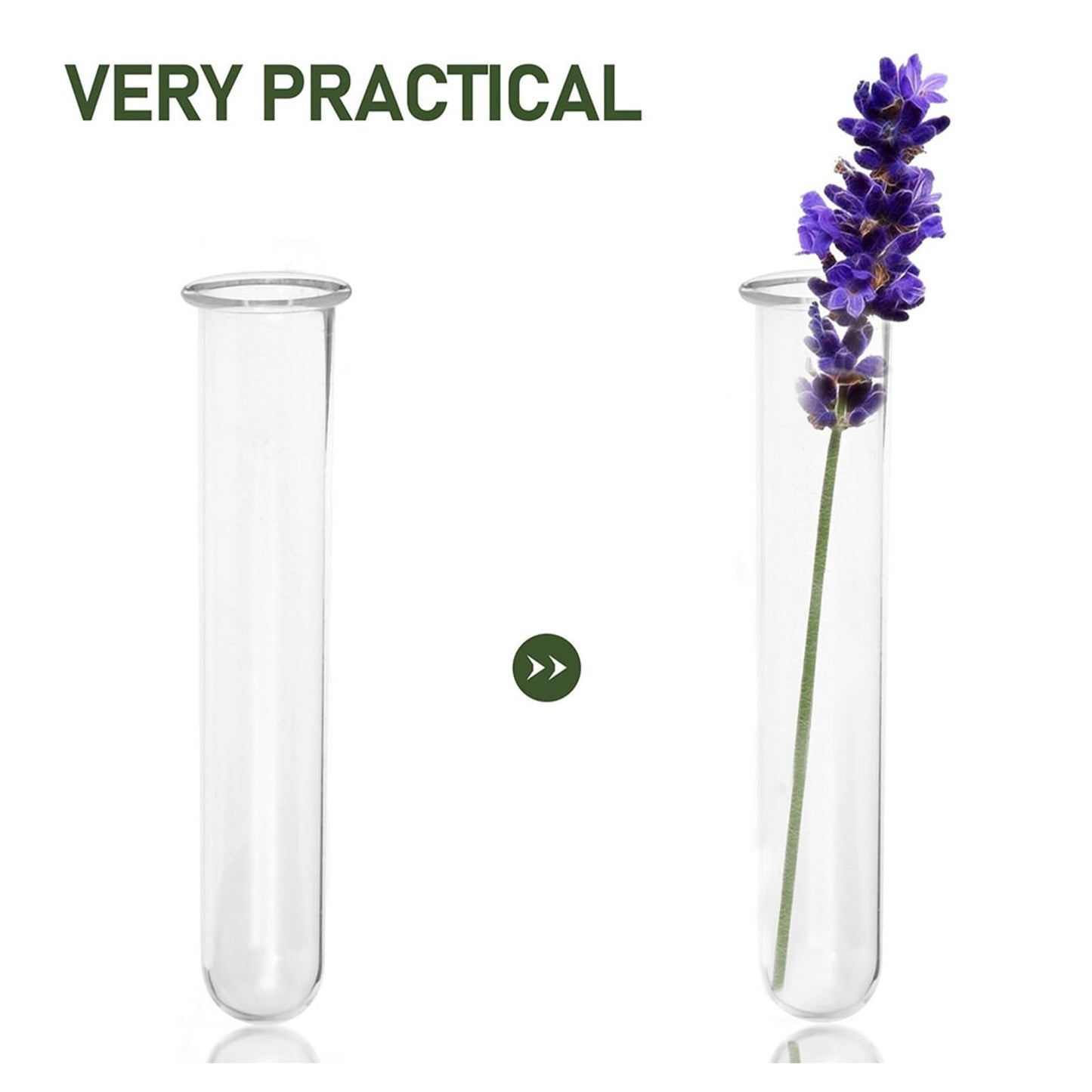 Beaupretty 5pcs Glass Hydroponic Test Tube Plant Vases for Small Terrarium Plants Floral Propagation Tubes 2.5x3x15cm Glass Containers for Indoor Garden Décor
