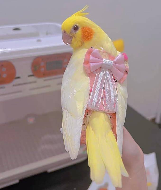 Bird Flight Suits Diapers, Parrot Diapers for Monk Parakeets, Cockatiels, Parrot Clothes Costume, Bird Training Nappy Suit Liners Clothes (Medium,White)