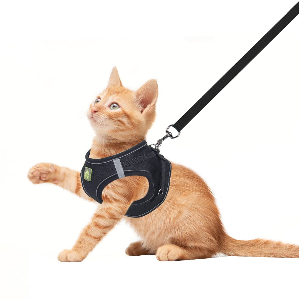FEimaX Dog Harness and Leash Set, No Pull Breathable Soft Mesh Puppy Vest Harness Reflective Adjustable Pet Harnesses for Small Medium Dogs and Cats - Outdoor Easy Control for Walking