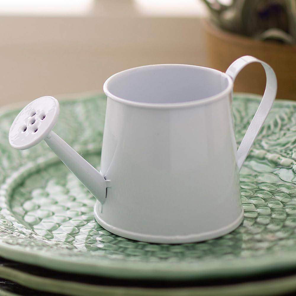 Fun Express Mini Watering Can Tabletop Decorations - 12 Pieces - Great for Spring and Garden Home Decor, Weddings and Other Table Centerpieces