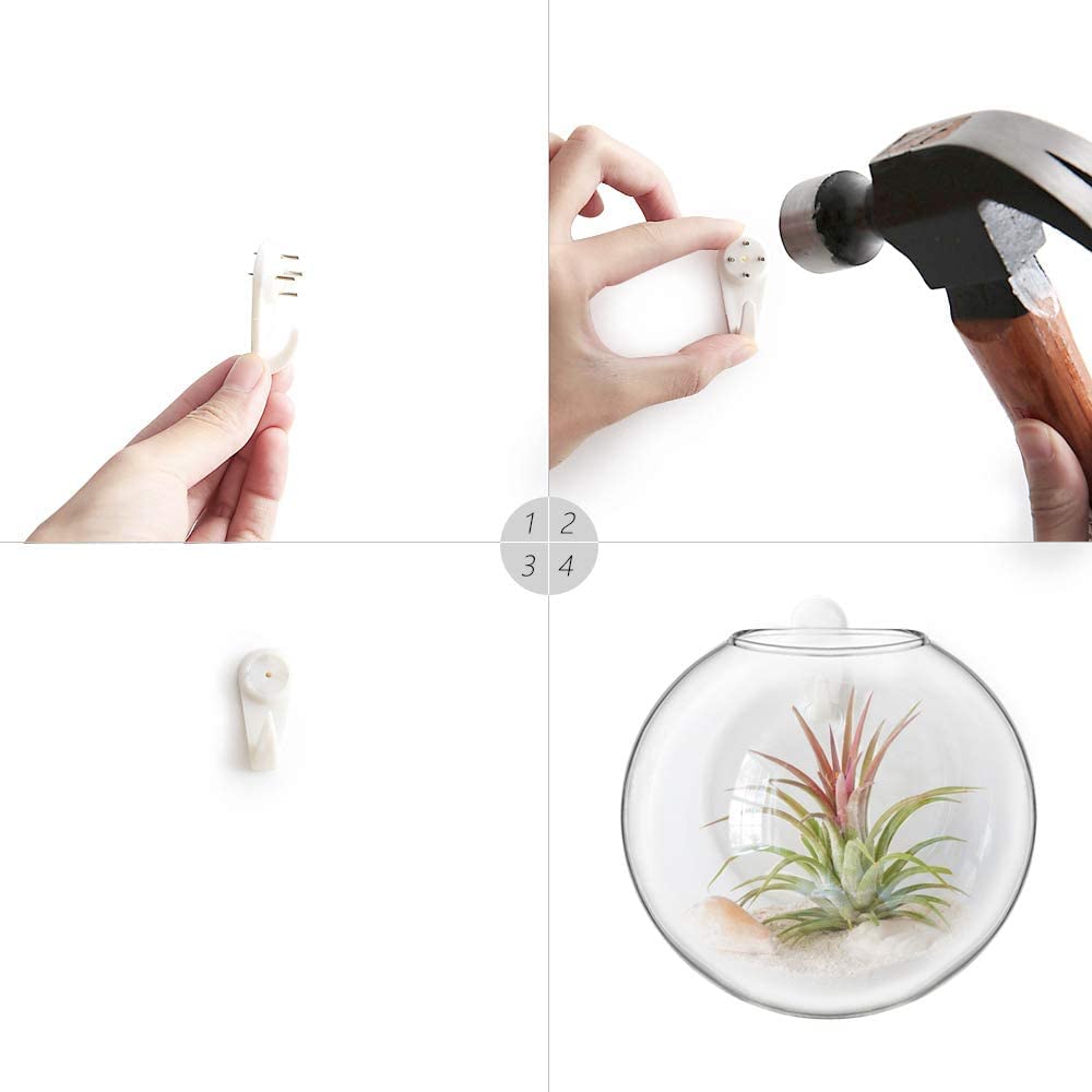 Mkono Wall Hanging Glass Terrariums Planter Oblate Flower Vase for Hydroponics Plants, Bathroom, Home Office Living Room Decor, Set of 2(Plants not Included)