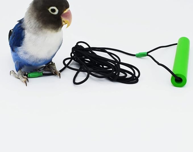 Bird Foot Chain with Flying Latex Elastic Training Rope Outdoor Parrot Ankle Foot Ring Accessories Bird Harness Leash Prevent Escaping (Model7-With 157.5inch Leash)