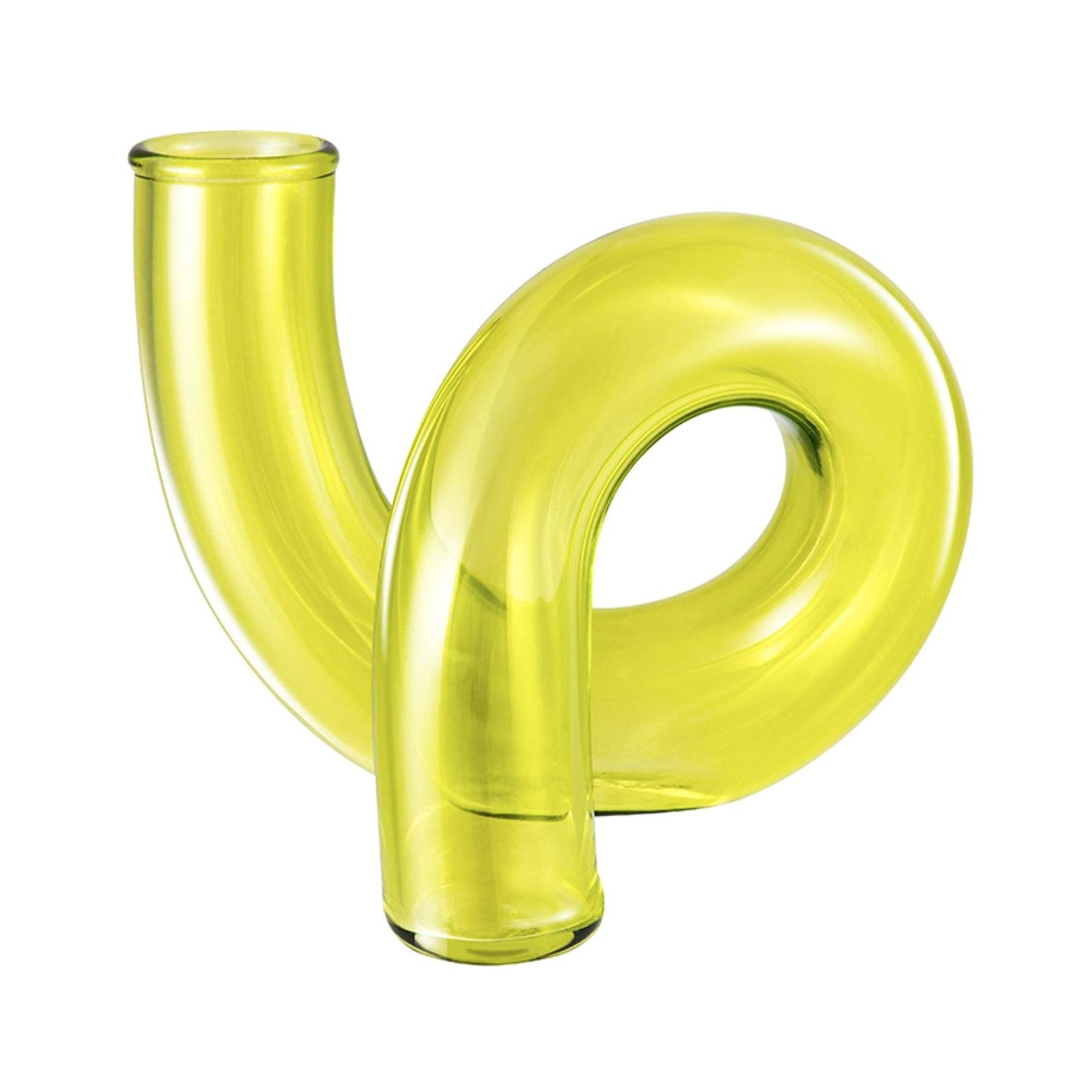 Aimee La Flower Vase for Home Decor Glass Vase Decorative Terrariums for Plants Table Ornaments Flower Vase Nordic