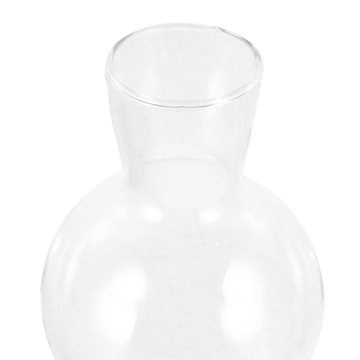 Veemoon Glass Flower Vase with Wooden Stand, High Borosilicate Glass Hydroponic Plant Terrarium for Indoor Home Décor and Tabletop Gardening