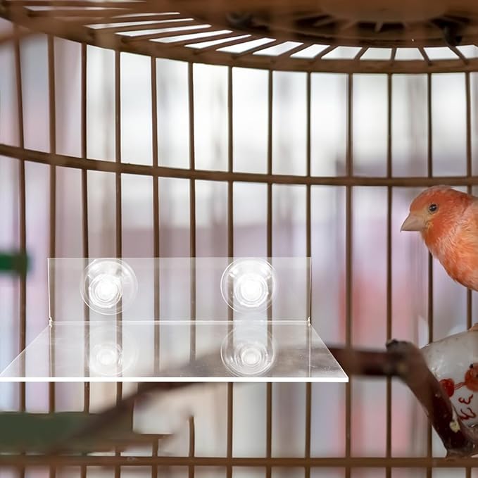 HANABASS Suction Cup Parrot Stand Platform Portable Acrylic Bird Perch for Windows Showers and Walls Flat Bird Stand for Small to Medium Parrots Parakeets Cockatoos and Macaws