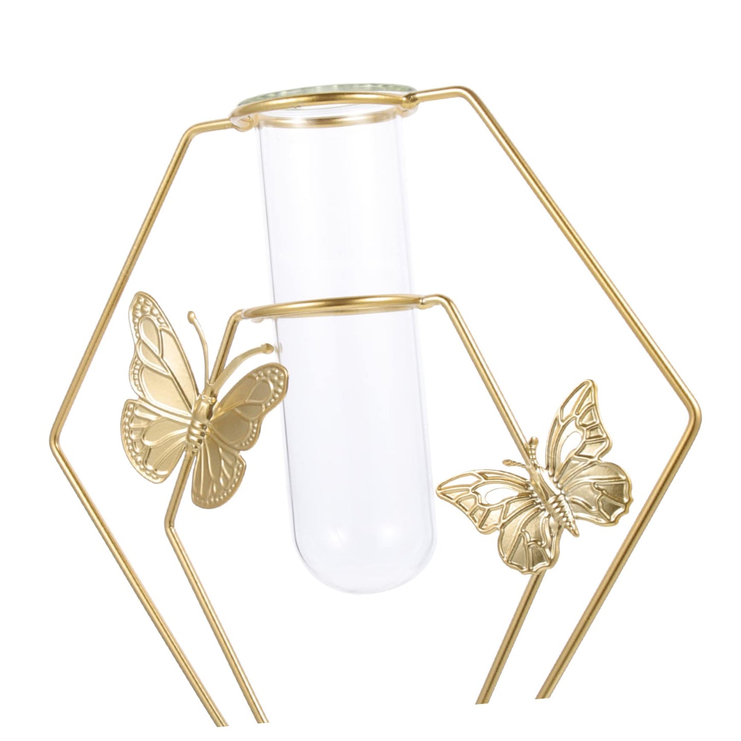 Hemobllo Hydroponic Glass Vase Metal Stand Desktop Flower Planter for Home Decor Unique Terrarium for Indoor Plants Modern Decorative Vase