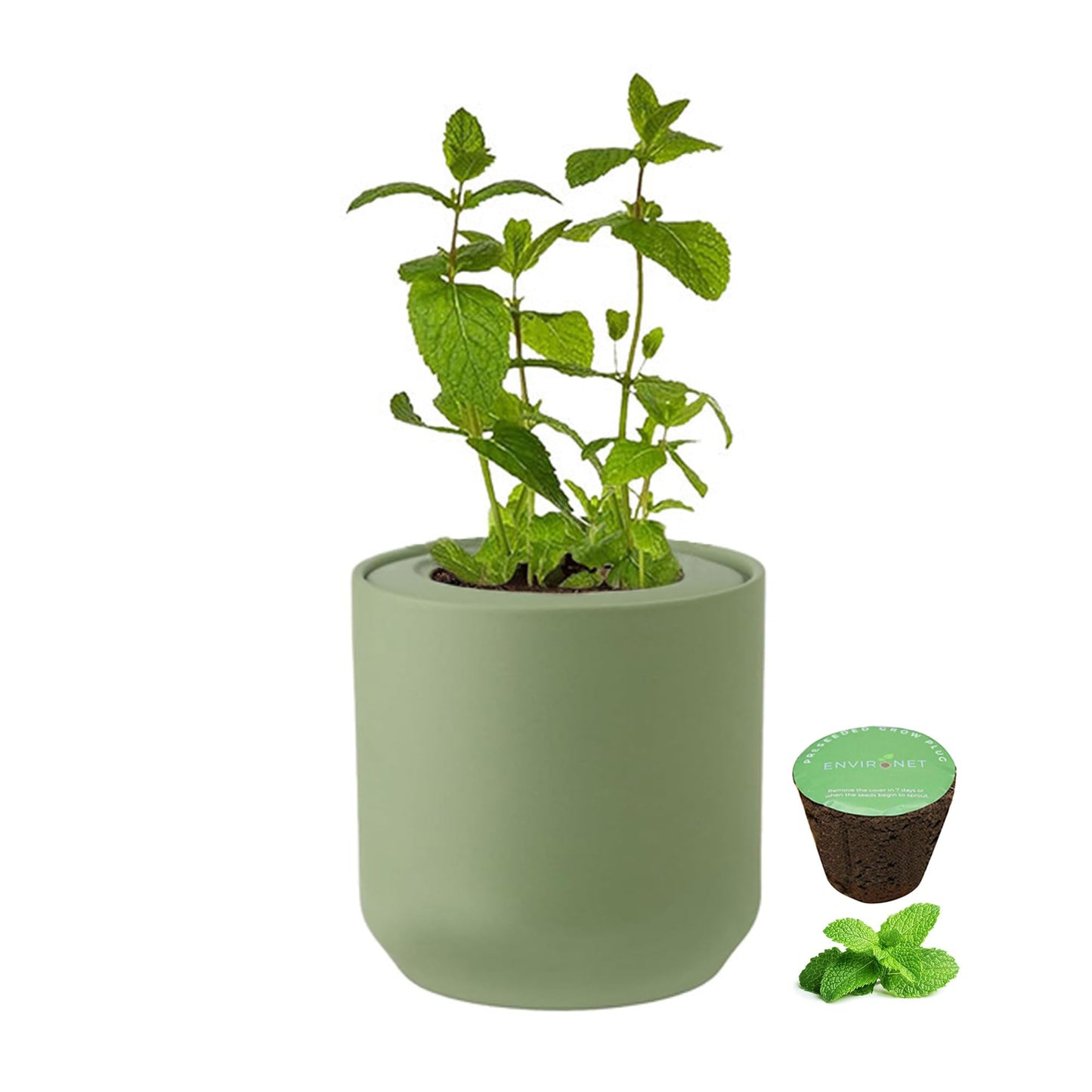 Environet Hydroponic Herb Growing Kit, Self-Watering Kitchen Herb Garden Starter Kit with Green Ceramic Pot and Seeds (Mint)