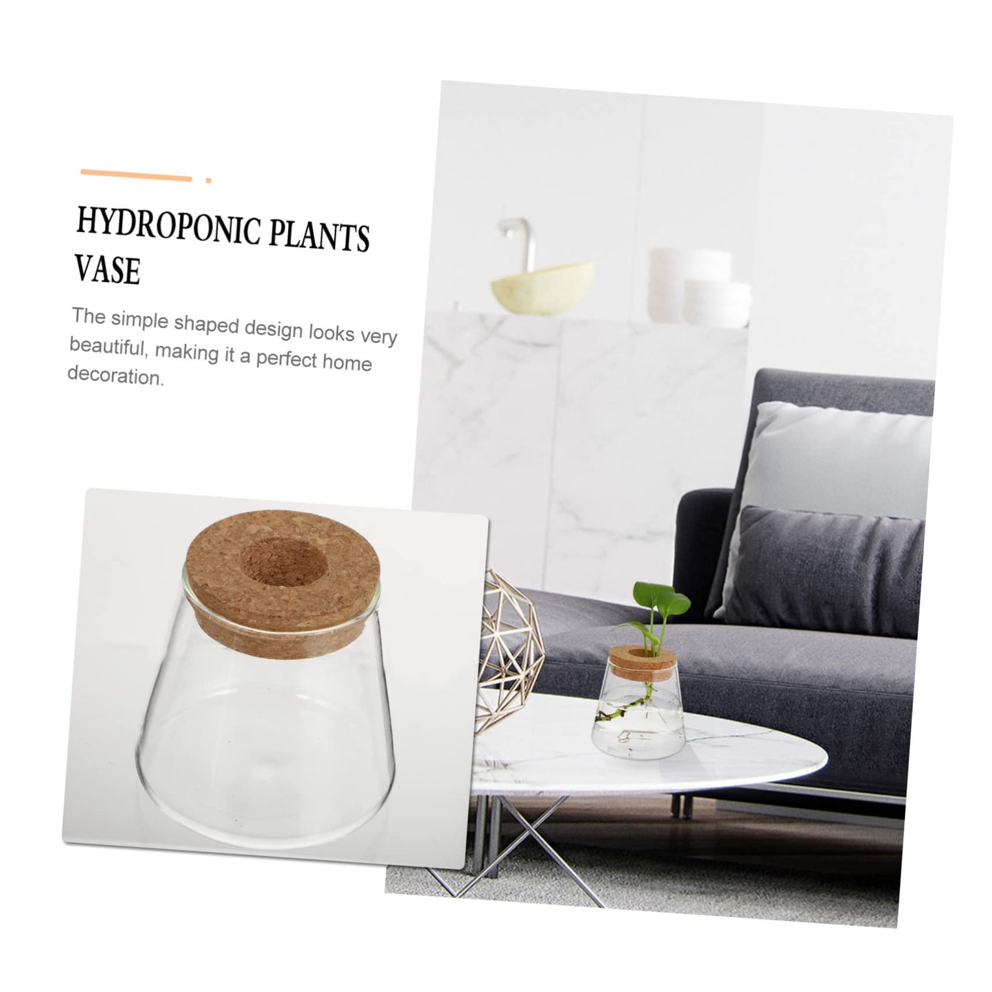 Garneck 2Pcs Hydroponic Plant Vases Clear Glass Terrarium Garden Decoration for Home Office Floral Arrangement and Nature Lovers Gift
