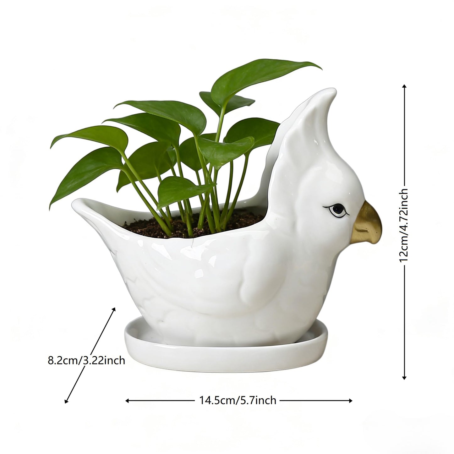 YANGMEI Ceramic Bird Planter Pot with Saucer, Drainage Hole Design, Cute Animal Succulent Pot for Indoor/Outdoor, Great Gift for Plant Lovers, Home Garden & Office Décor(White)