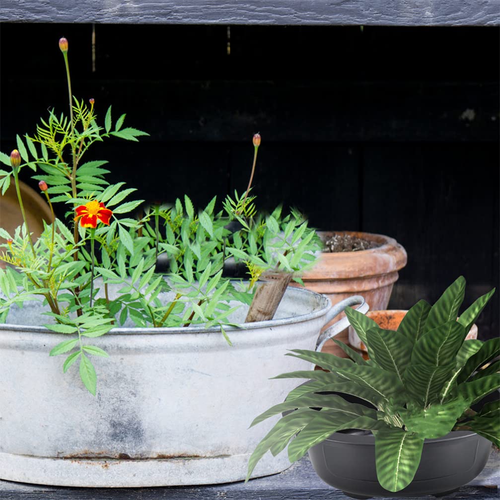 Angoily 2Pcs Bonsai Training Pot, 19 inch Plastic Bonsai Pot with Drainage Hole, Oval Planter for Desktop Decoration Nursery, Garden, Balcony, Office Desktop Decoration
