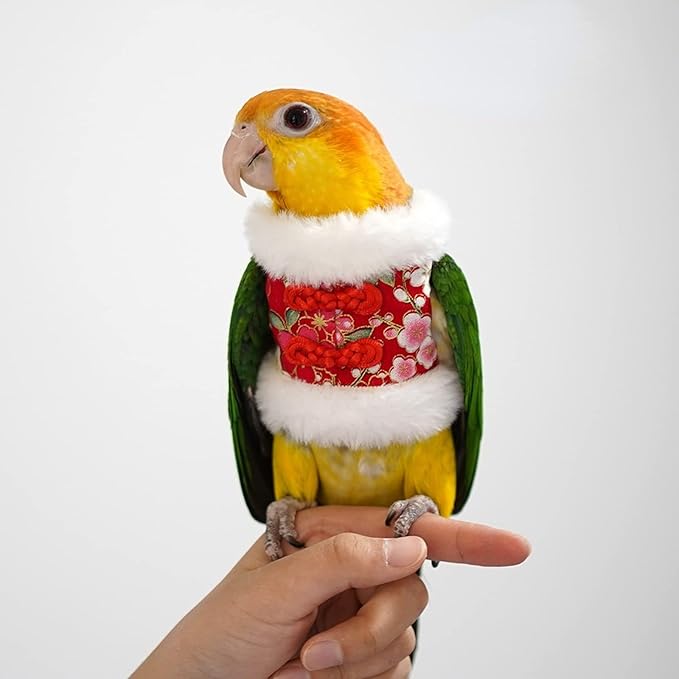 Bird Costume Flight Suit Clothes Cosplay Photo Prop for Parrots Parakeet Cockatiel Sun Conure, Hoodie Small Animals Apparel (Red, Small), Green