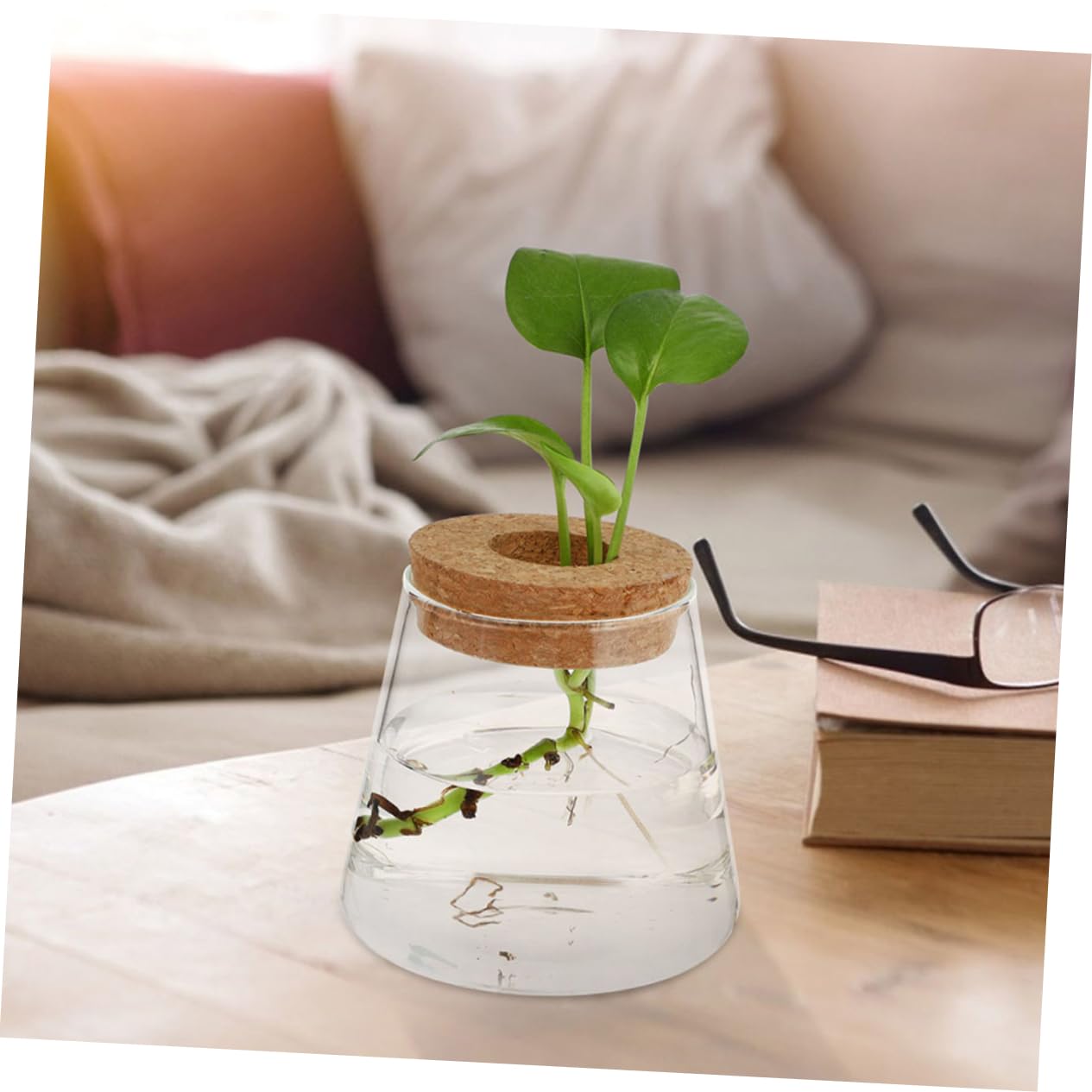 3pcs Hydroponic Glass Plant Vase with Wood Lid Compact Desktop Propagation Station for Plants Clear Terrarium Bottle for Flower Lovers Enhances Indoor Atmosphere