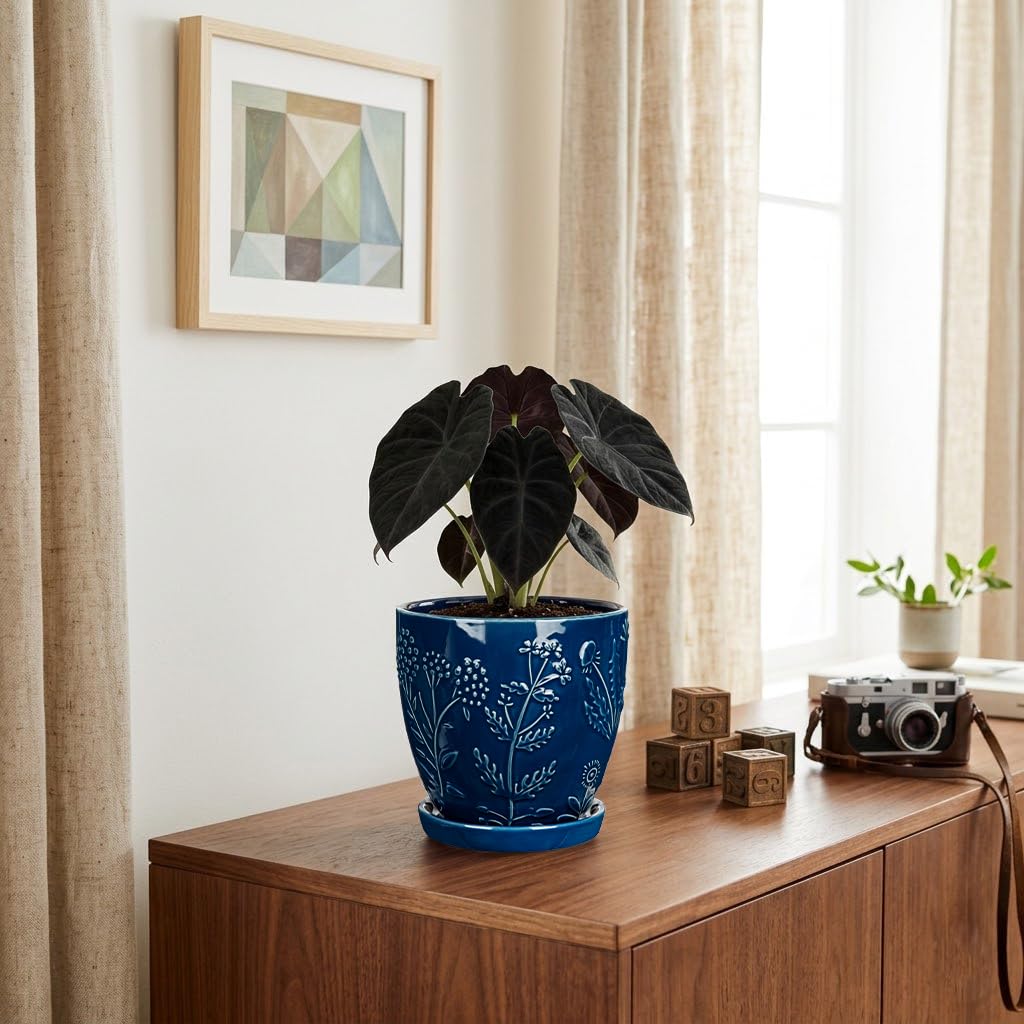 Hollyone 6 Inch Blue Ceramic Planter Flower Plant Pot with Drainage Hole and Saucer for Plants Embossed Indoor Outdoor Garden Embossed Ceramic Glazed Round Pot for Succulent Orchid Floral Pattern