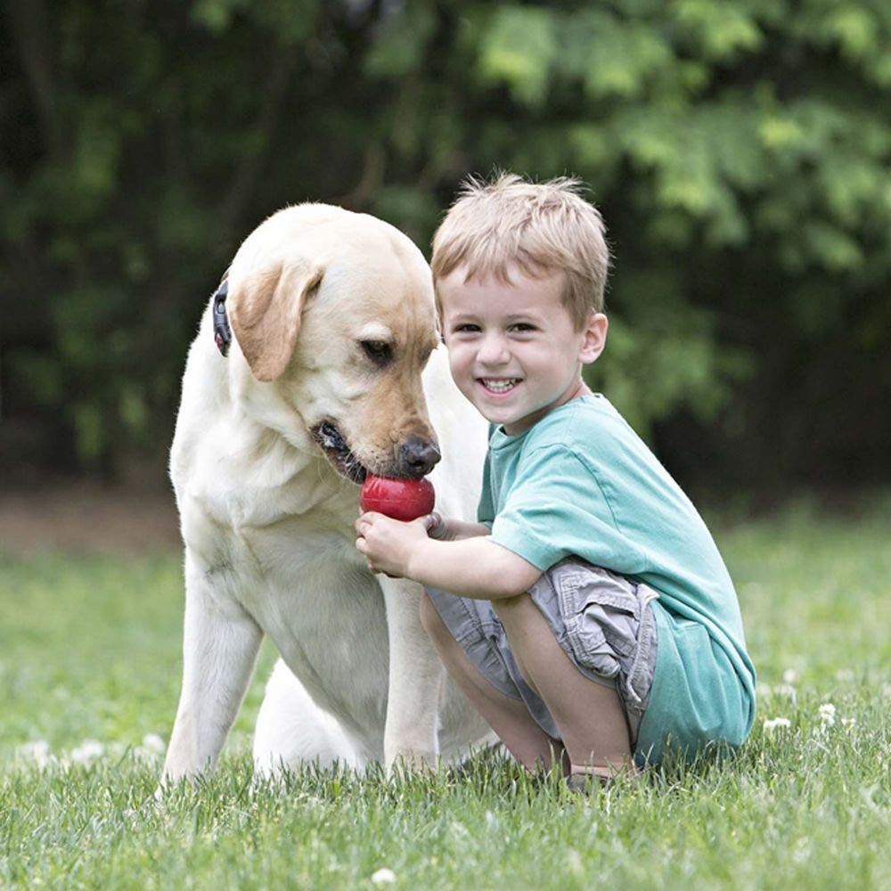 KONG Classic Stuffable Dog Toy - Fetch & Chew Toy for Dogs - Treat-Filling Capabilities & Erratic Bounce for Extended Play Time - Durable Natural Rubber Material - for Extra Small Dogs