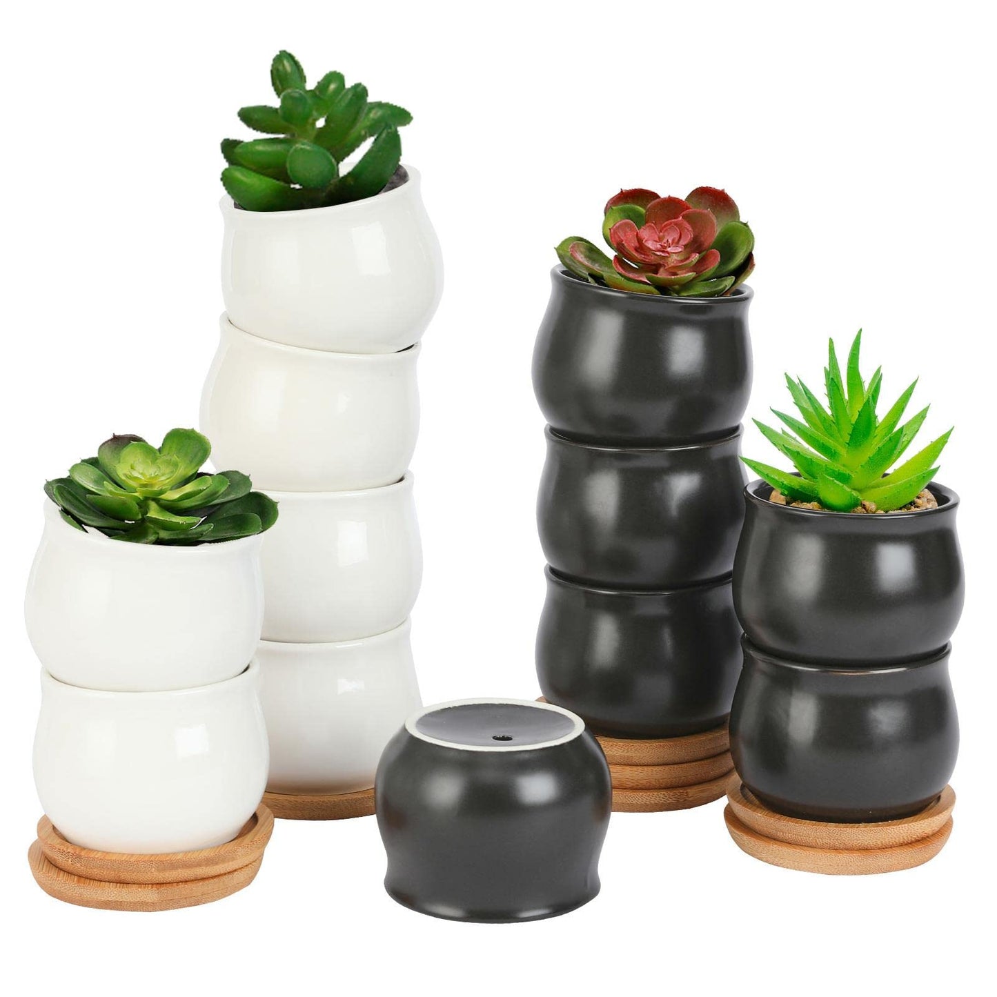 SHECIPIN 12 Pack Succulent Plant Pot, Mini 2.6 inch Ceramic Flower Planter Pot with Bamboo Tray, Small Pots for Plants, Plants Not Included (White, Black)
