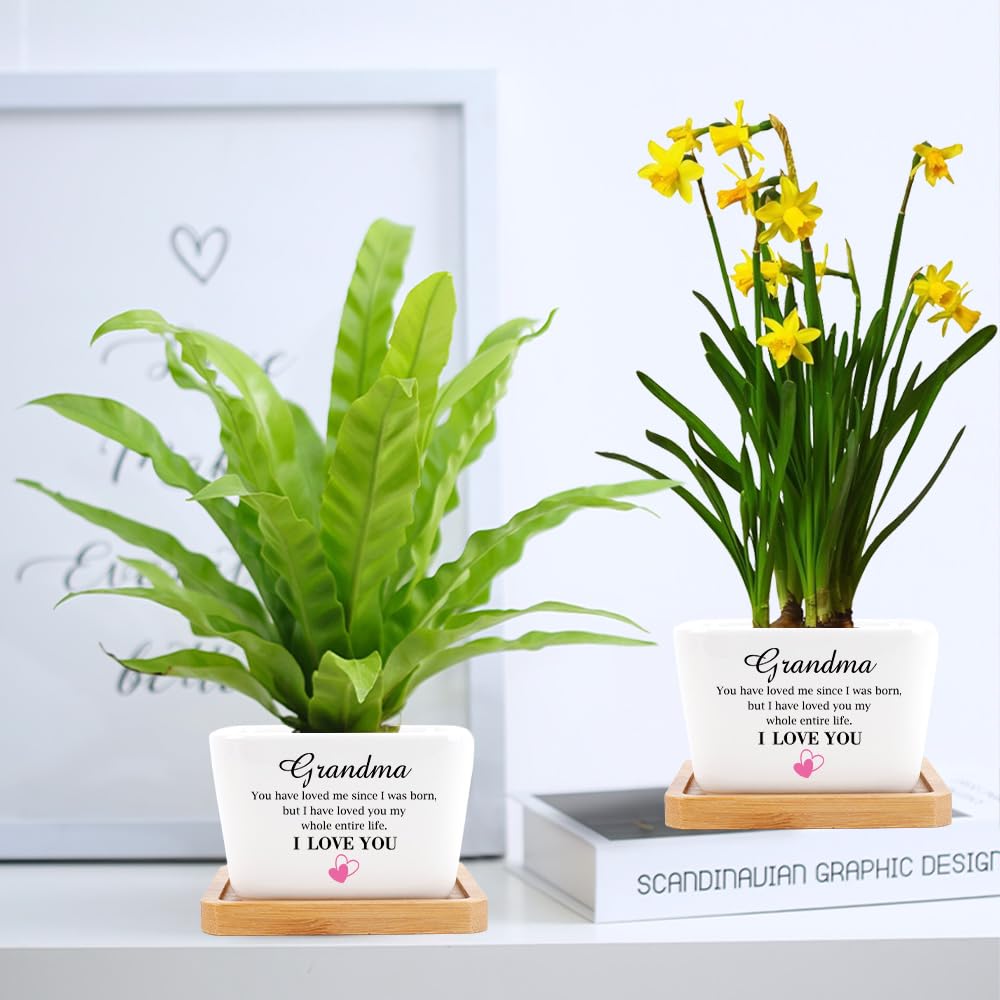 Grandma Gifts Mothers Day Plant Pots Gifts for Grandma Birthday Gift for Nana Granny Grammy Grandmother Nannie Meemaw Maw Maw Nanna from Grandson Granddaughter Grand Mother's Day Valentines Christmas