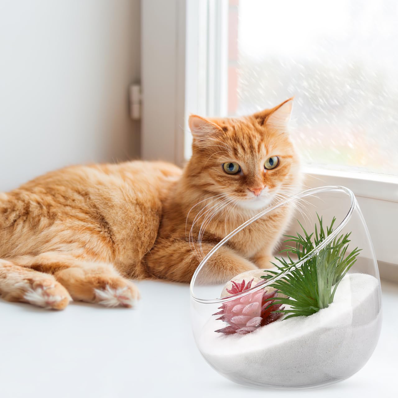 DOITOOL Clear Slant Cut Bowl Glass Vase, Glass Terrarium Candy Dish Fish Bowl Vase Fruit Jar Air Plant Holder for Succulents, Cacti, Moss, Terrariums, Flower Centerpiece, Height: 4.7", Base: 4"