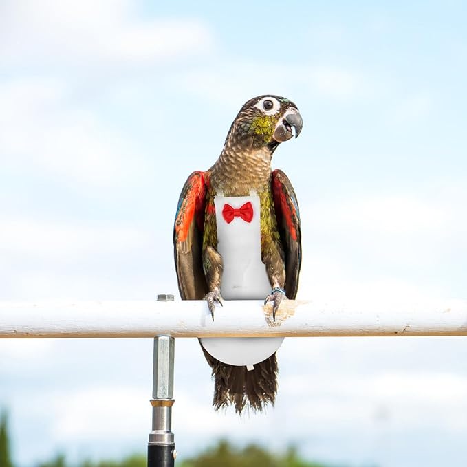 Generic Bird Diaper Flight Suit for Parrots Breathable Diaper Clothing Accessory for Birds for Indoor and Outdoor Use Easy to Wear and Wash