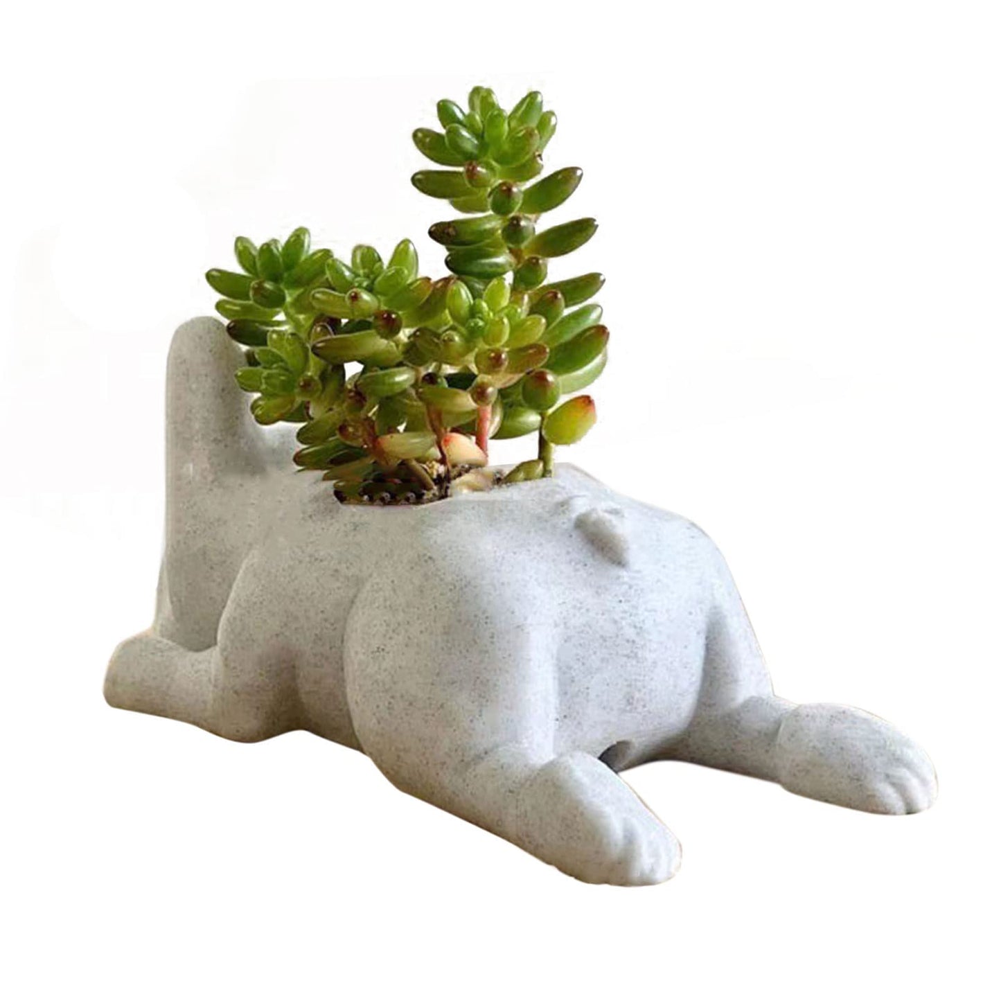 UIYIHIF Resin Dog Succulent Planter Mini Puppy Air Plant Planter,French Bulldog Shape Cute Bonsai Flower Pots for Home Garden Office Desktop Decor (No Plants), White