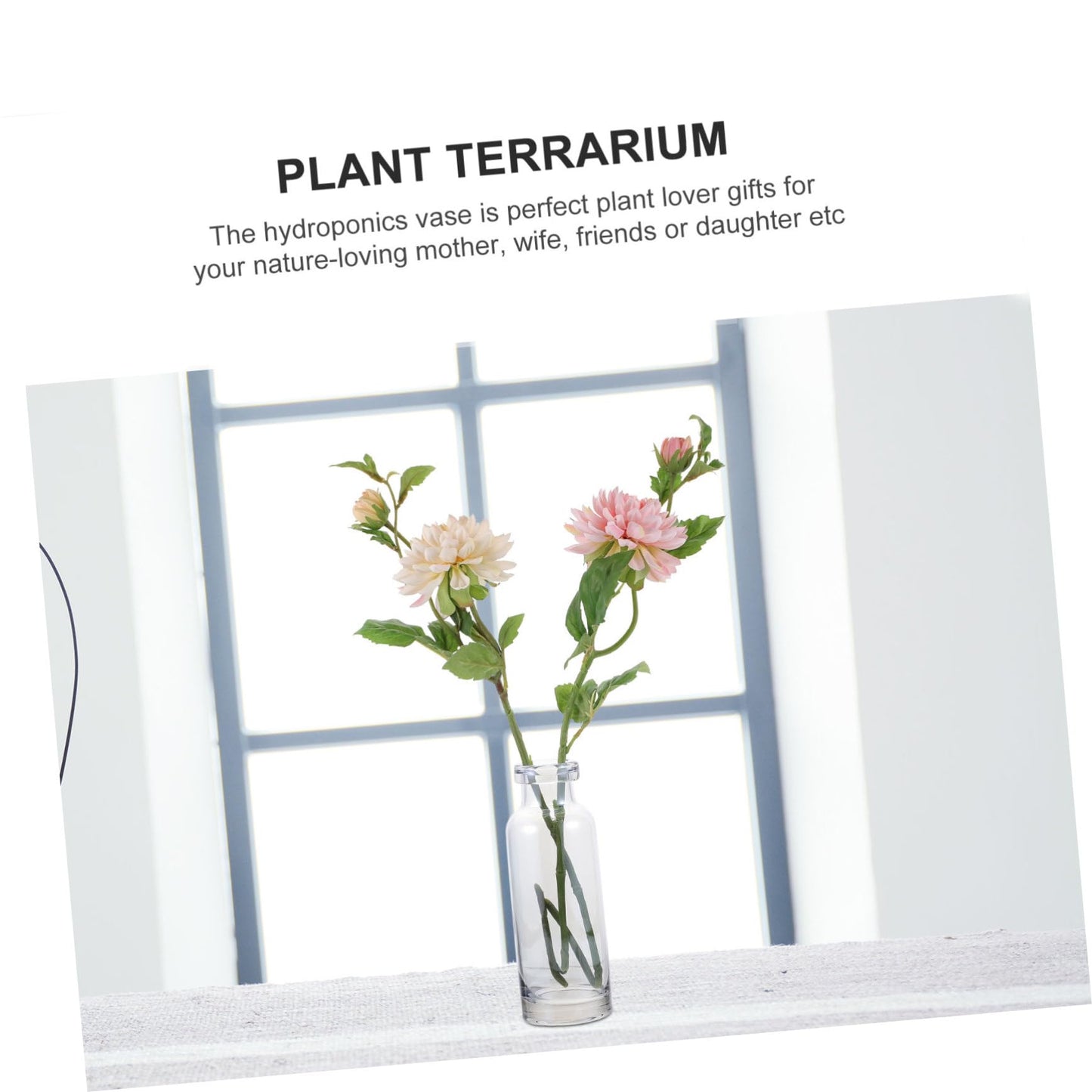 Healifty Glass Hydroponics Vase for Desktop Planter Simple Transparent Terrarium for Home Decoration Small Mouth Glass Vase for Office and Indoor Plants