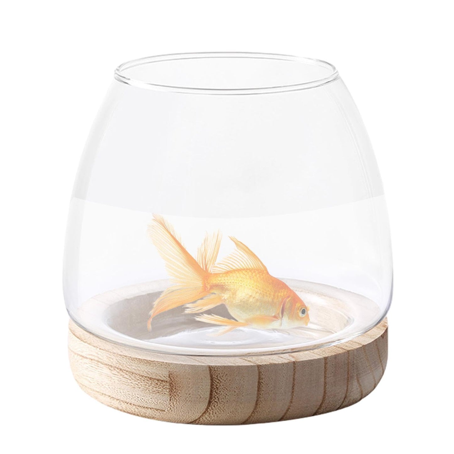 Hydroponic Vase - Durablee Hydroponic Plant Vase, Transparent Glass Fish Bowl Vase with Wooden Support | Wide Mouth Terrarium Flower Vase, Glass Hydroponic Planter Clear Fish Bowl for Home Decoration
