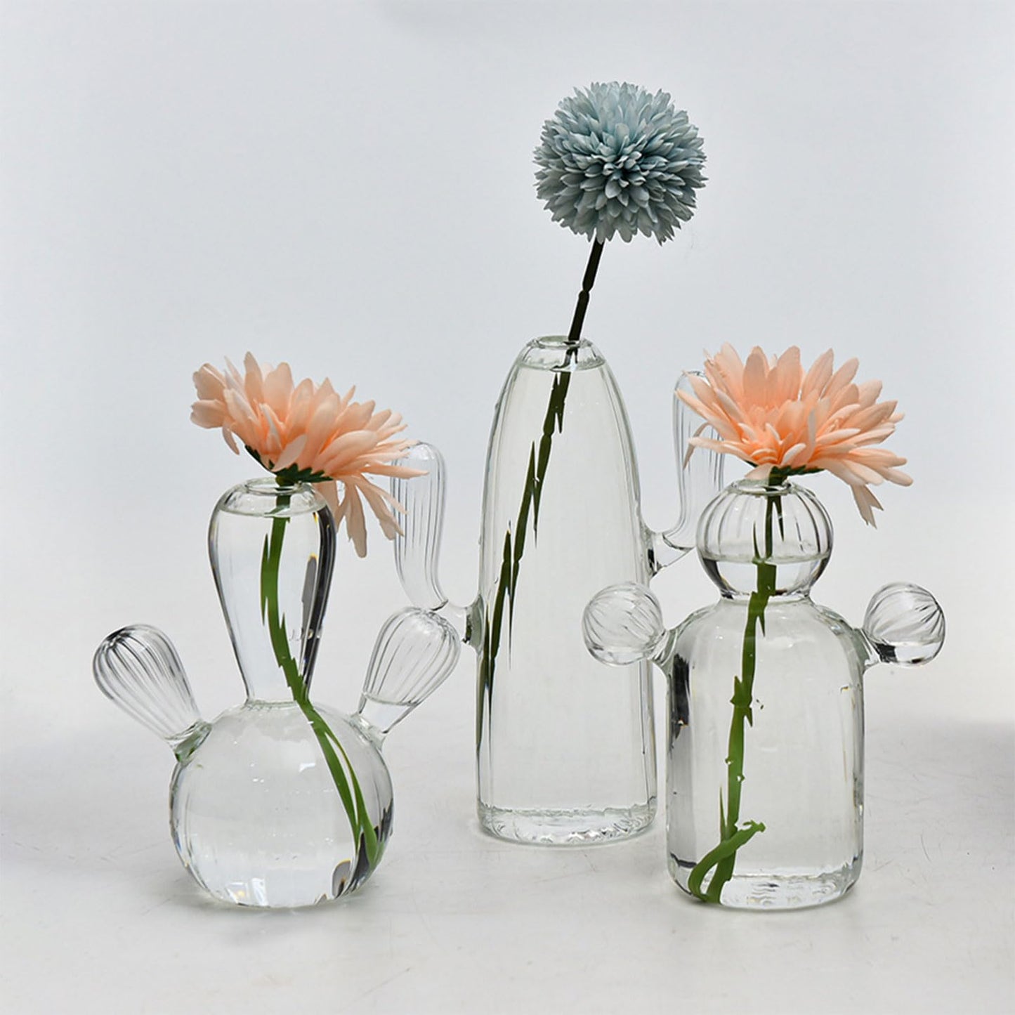 Cactus Glass Vase Flower Plant Flowerpots Decorations Home Hydroponics Terrariums Flower Arrangement Flowerpots Livingooms Decors Cactus