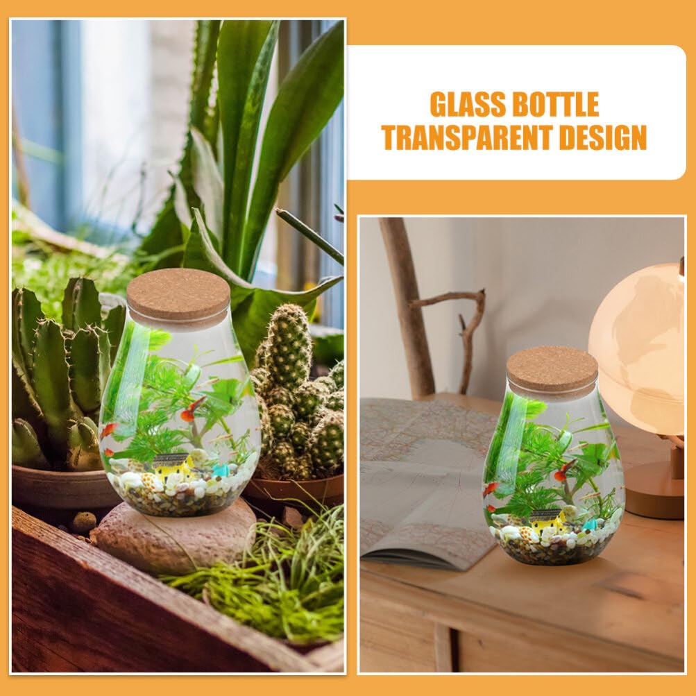 INOOMP 2pcs Glass Plant Terrarium, Tabletop Succulent Planter Sealed Glass Bottles Vial Air Plant Planter Candy Cookie Jar Fish Bowl Vase with Cork Top