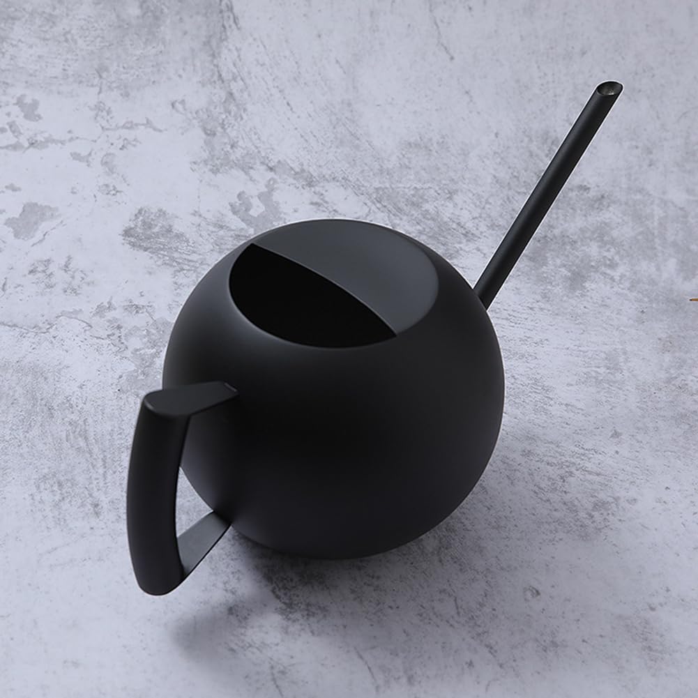 Chemlliy Watering Can with Long Spout and Comfortable Handle, 35 oz/1000ml Small Watering Can for Indoor Plants, Stainless Steel Garden Watering Pot for Indoor House Plants Bonsai Flower Decorative
