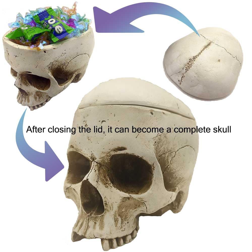 CUZOKOLA Larger 6.9" Human Skull Candy Dish with Lid,Big Skull Candy Jar,Skull Head Decor Statue Resin Mold for Halloween Skull Candy Bowl,Skull Home Decoration,White Skull Skeleton Bowl Sculpture
