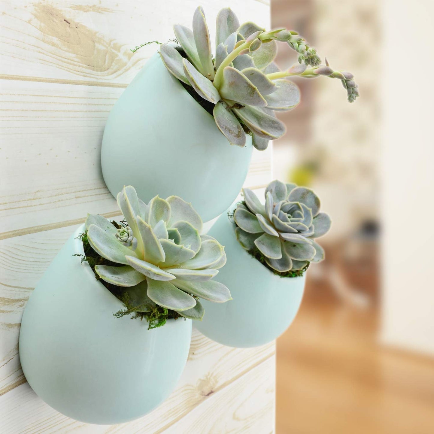 Arcadia Garden Products Large Round Wall Planter