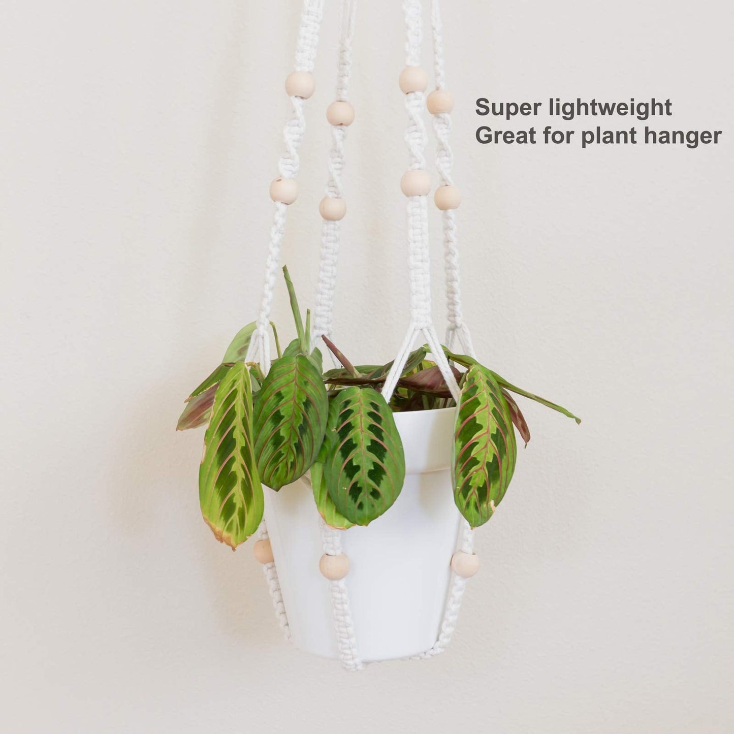 Youngever 7 Pack 6.5 Inch Plastic Planters, Indoor Flower Plant Pots, Classic Decorative Gardening Pot with Drainage(White no Saucers)