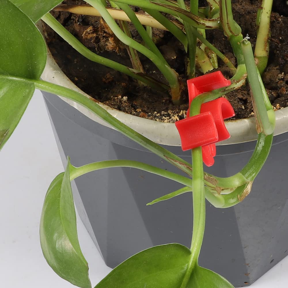 LucyPhy 60 Pack Plant Bender Angle Adjustable Plant Training Clips Low Stress Training Clips 90 Degrees Plant Stem(Circle Style,Red)