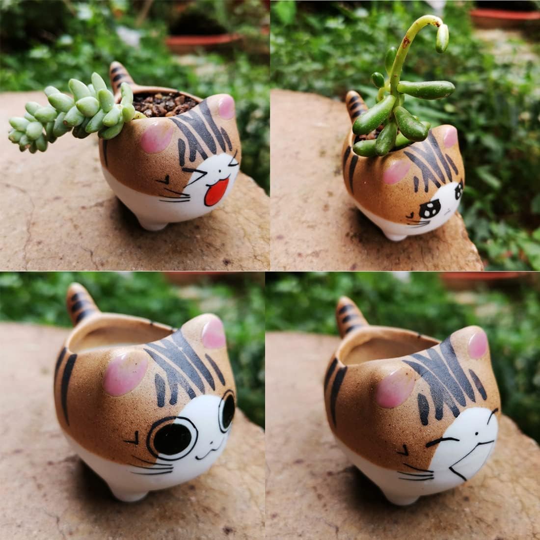 whungfa Set of 5 Handmade Mini Cute Cat Cartoon Ceramic Succulent Pots Planters with Drainage Hole for Small Plants Animal Lovers Home and Office Desk Decoration