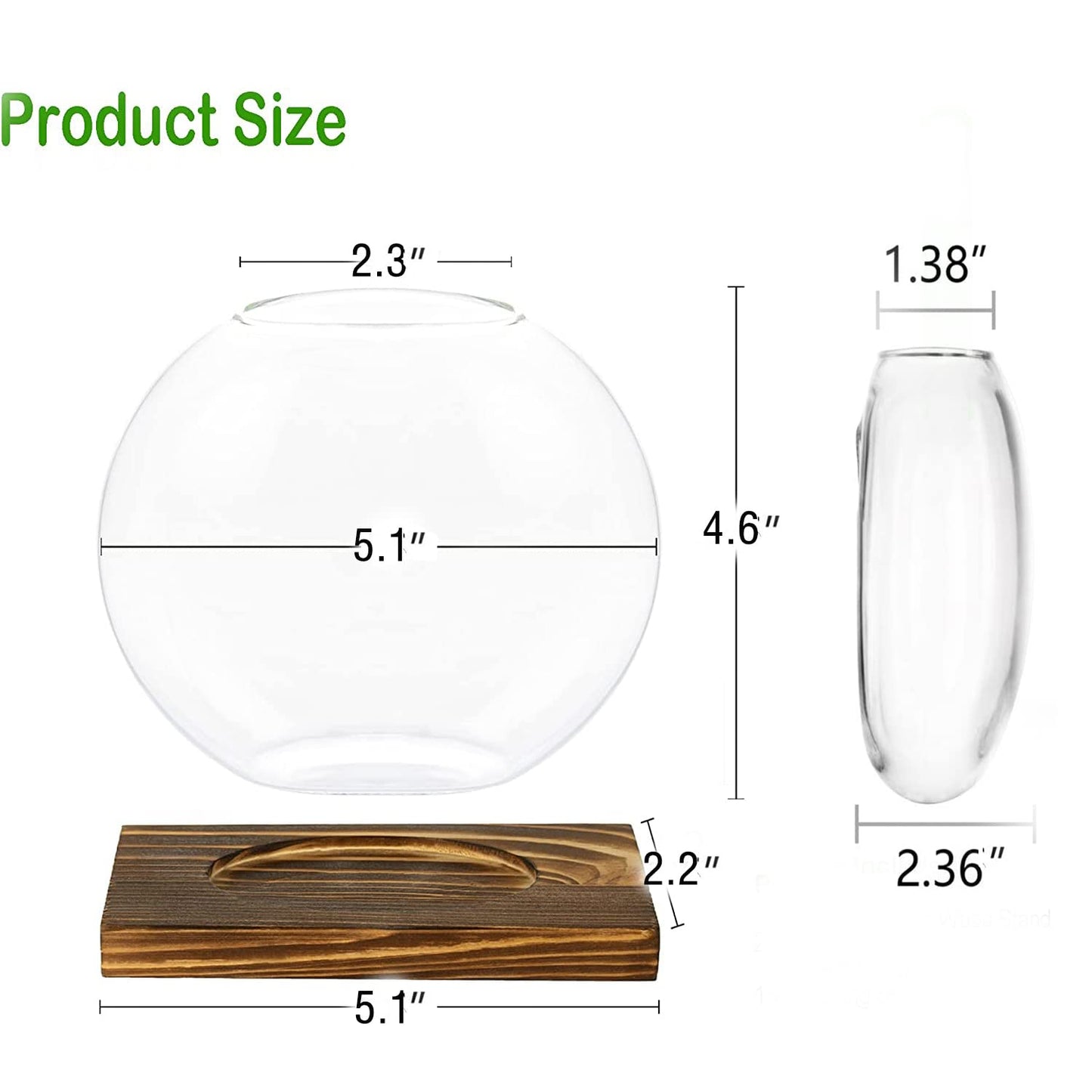 Kingbuy Round Glass Desktop Planter with Wooden Stand - Propagation Vase for Hydroponic Plants, Spider Plants, Pothos in Home Office Decor, 2-Pack, Beige