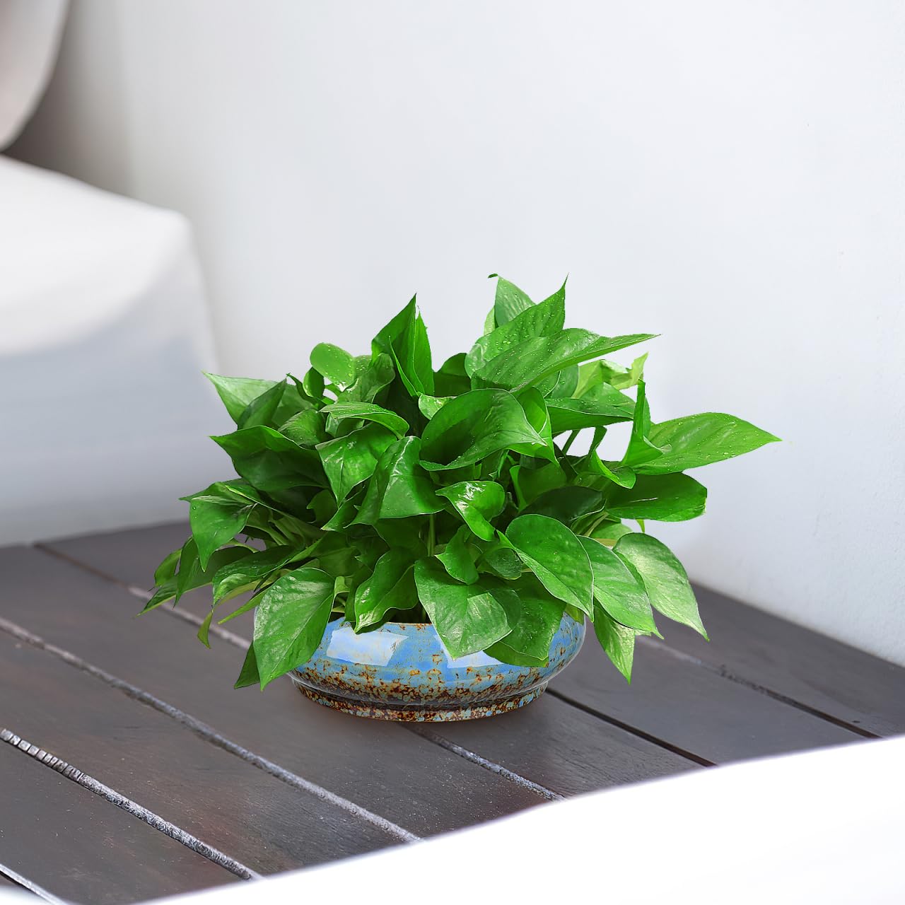 DOITOOL 2Pcs Bonsai Pot Indoor Hydroponic Planters Succulent Round Bowls for Planting in Water Lily Planter Ceramic Hydroponic Plant Pots