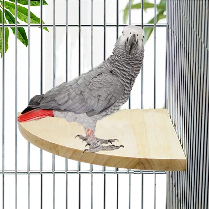 Litewoo Bird Parrot Corner Perch Flat Platform Stand, Easy to Install, Safe and Stable, Smooth Polishing Without Hurting Feet, Solid Hardwood Bird Cage Perches(2PC * L)