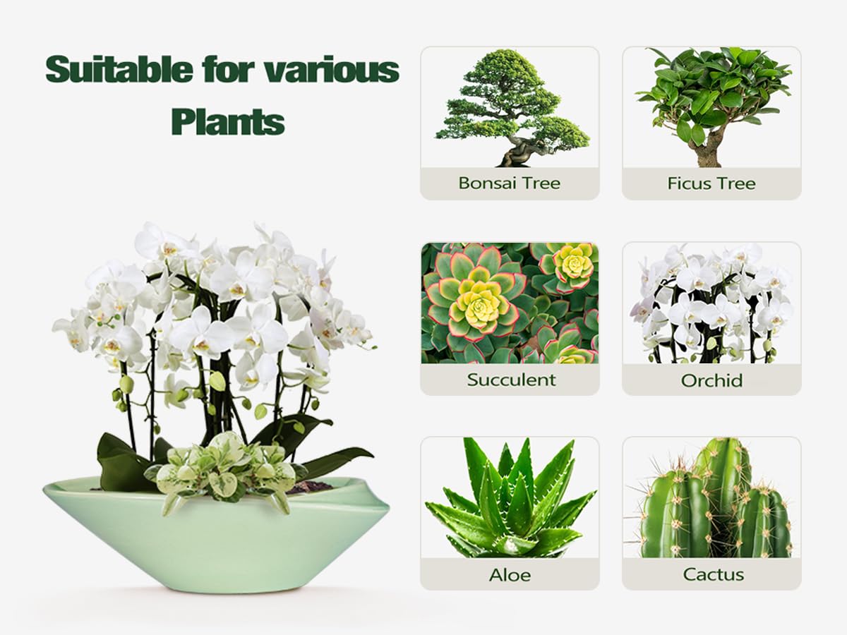 EPFamily Ceramic Bonsai Pot - 18 Inch Planter with Drainage Hole Large Modern Bonsai Planter Decorative Succulent Flower Plant Pot for Indoor Plants Outdoor Green