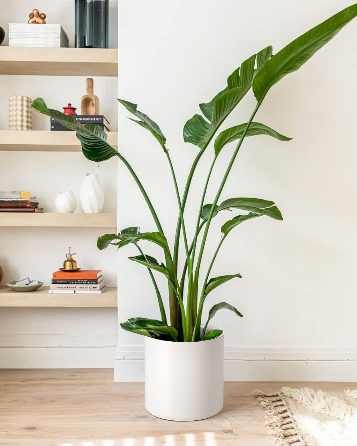 LE TAUCI 12 Inch Pot for Plants, Ceramic Planters for Indoor Plants, Mid-Century Modern Cylinder Flower Pots with Drainage Hole, Fits Fiddle Leaf Fig & Monstera, Home Decor, White