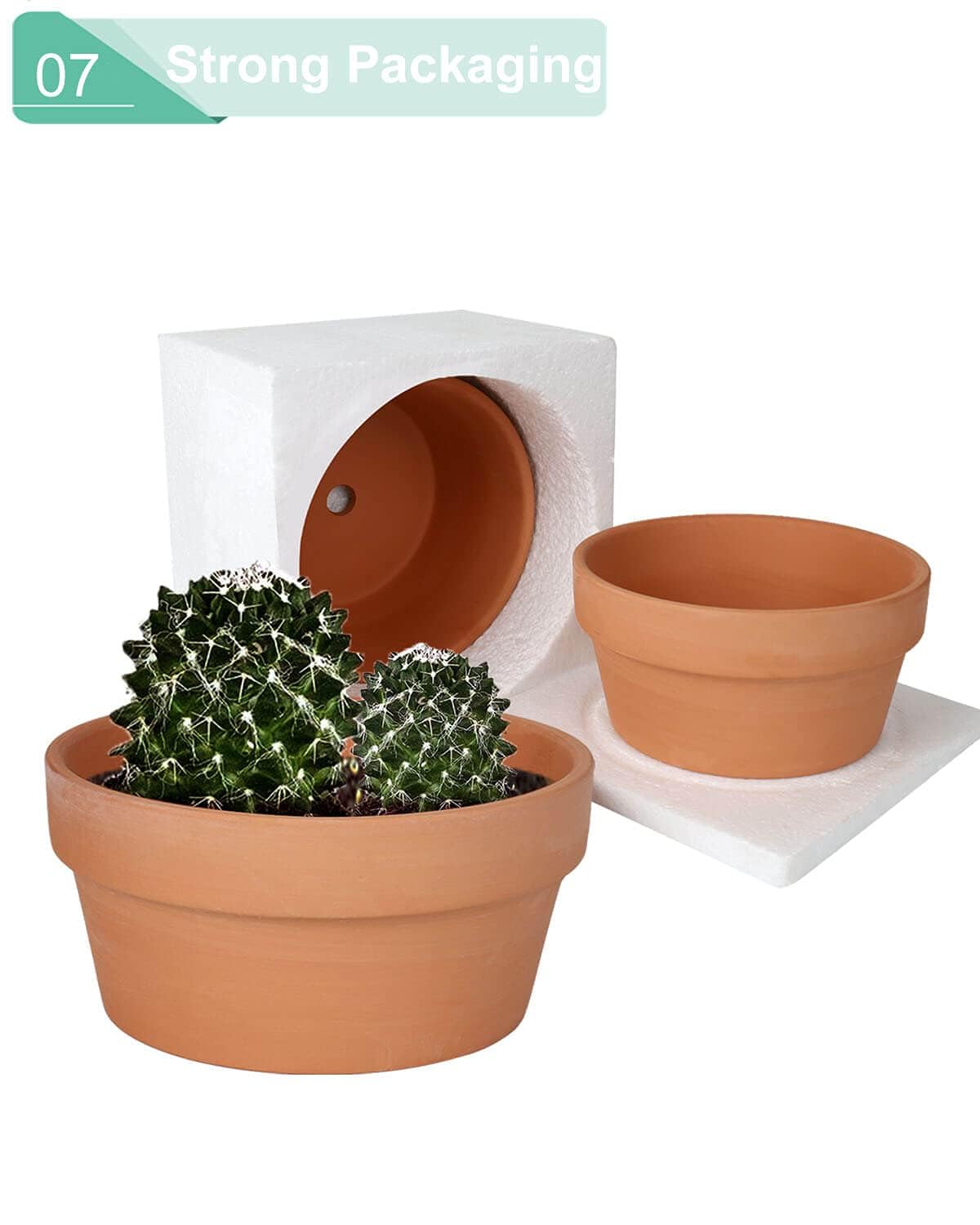 vensovo 8 Inch Terracotta Shallow Succulent Pot - 2 Pack Large Terra Cotta Clay Pot, Cacuts Indoor and Outdoor Planters with Drainage Hole