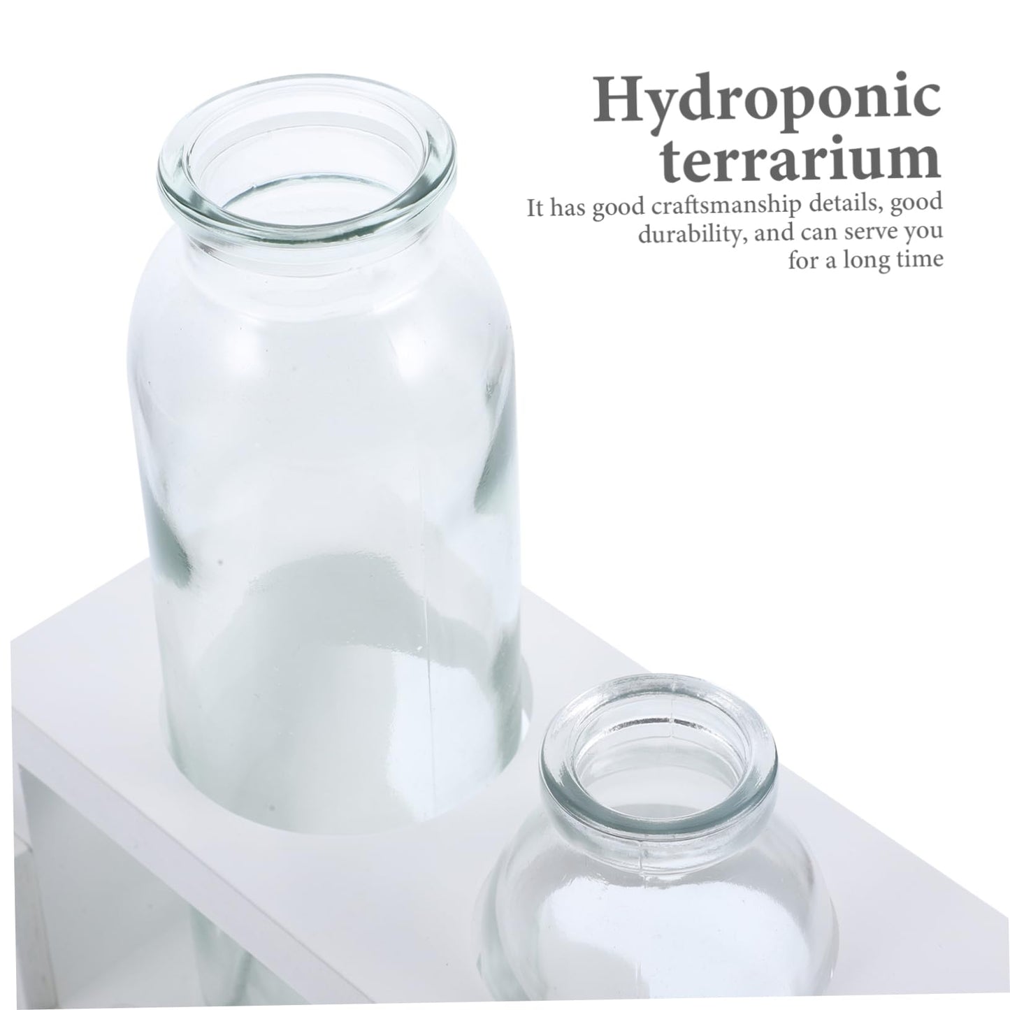 VANZACK Glass Pothos Vase Wooden Stand Hydroponic Desktop Terrarium for Air Plants Decorative Plant Holder
