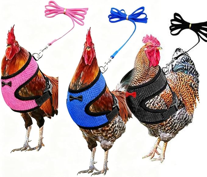 Chicken Harness and Leash Set Adjustable Mesh Breathable Duck Training Harness Pets Leashs for Goose Hen Rooster Parrots Dog Kitten, Pink L