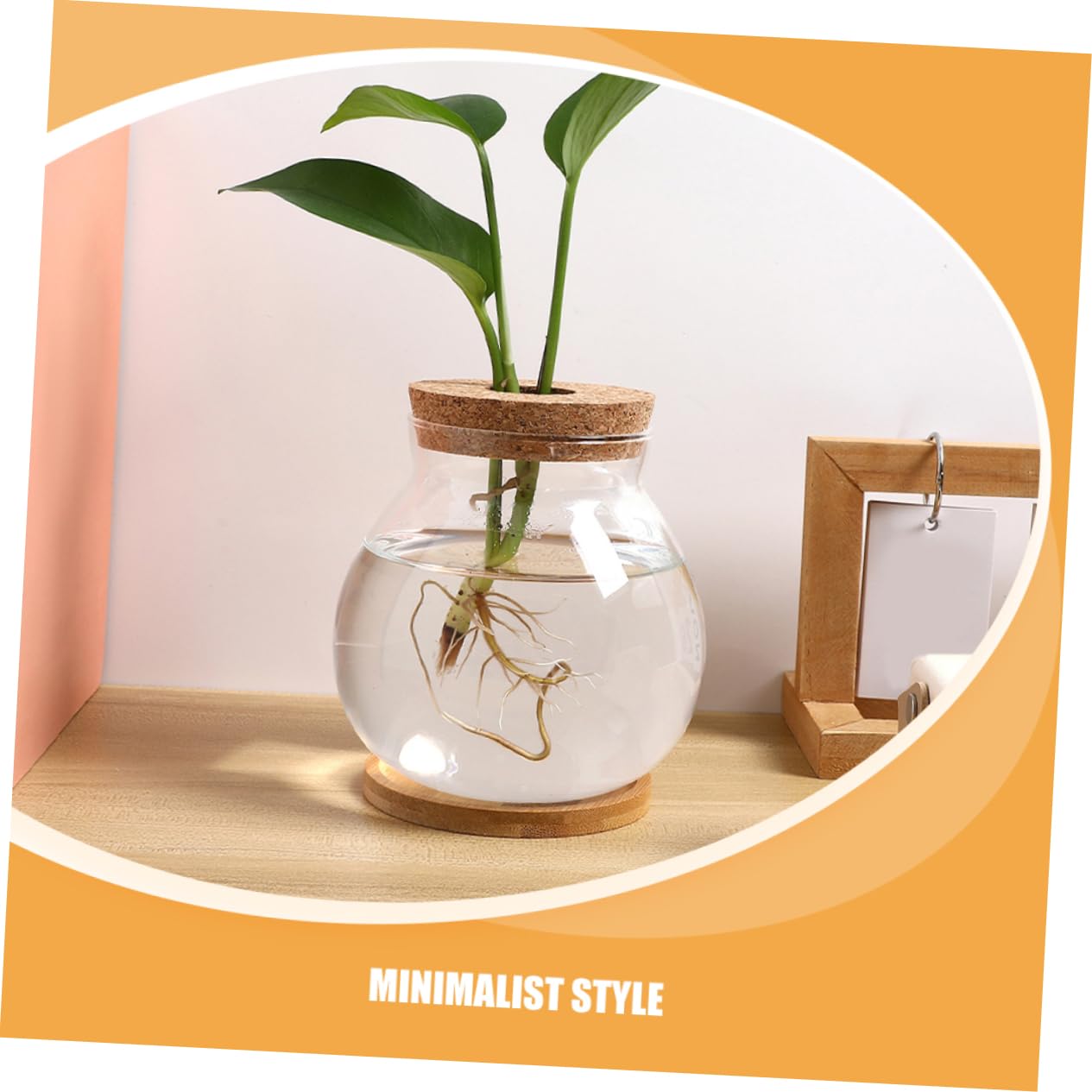 Toyvian Glass Hydroponic Vase with Wooden Base Elegant Propagation Container for Indoor Plants Terrarium Flower Pot for Decor Easy to Clean and Maintain