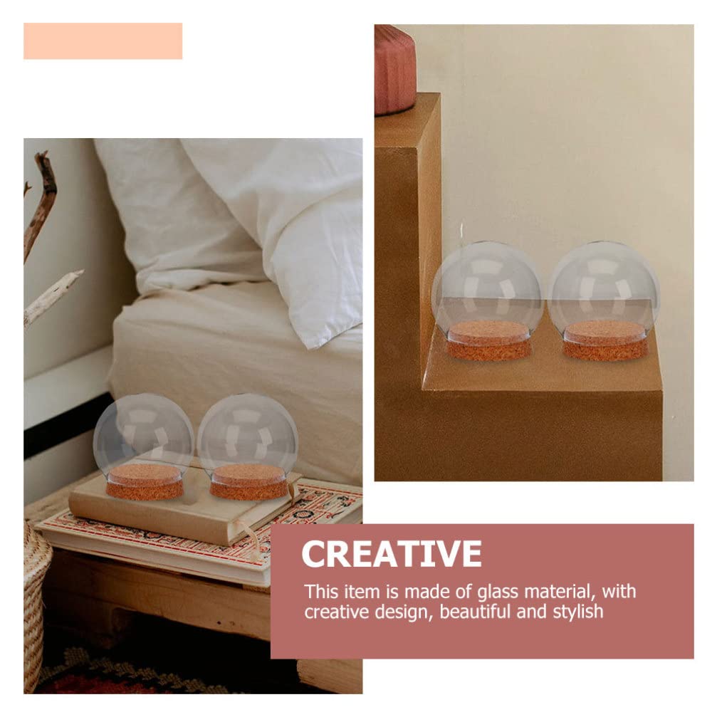 Sewroro 4 Pcs Clear Glass Cloche Globe Display Dome with Cork Base Glass Plant Terrarium Preserved Flower Dome Cover Keepsake Globe Display Case for Lamp Succulents Home Decor