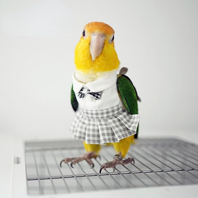Bird Costume Bird Diaper Flight Suit Cute JK Dress Dress Skirt Clothes Cosplay Photo Prop for Parrots Macaw Cockatoo (Without Diaper,Macaw)