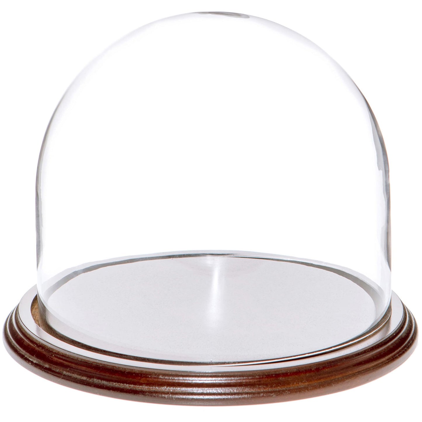 Plymor 8" x 6.5" Glass Display Dome Cloche (Dark Mahogany Veneer Base)